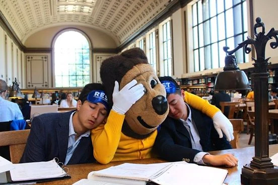 sleepy berkeley student with mascot